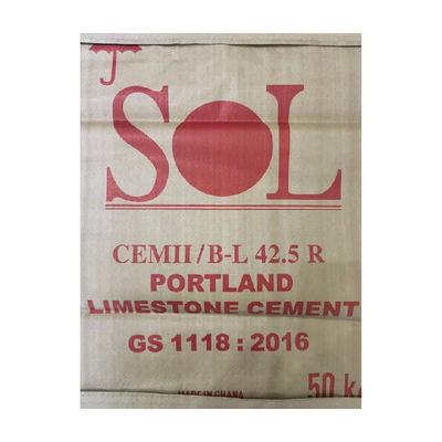 Custom Woven PP Valve Bag 25Kg 50Kg Polypropylene Cements Gypsum Powder Bag