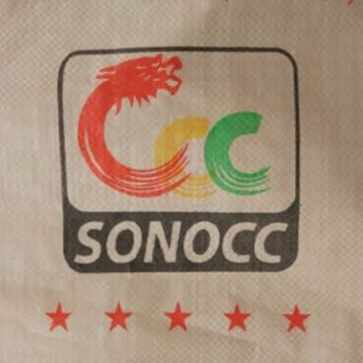 25 KG 40 KG 50 KG PP Gewebter Beutel Leer PP Zementbeutel Block Boden mit Ventil